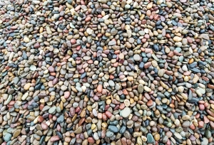 乐山1-2cm天然鹅卵石