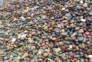 哈尔滨天然鹅卵石