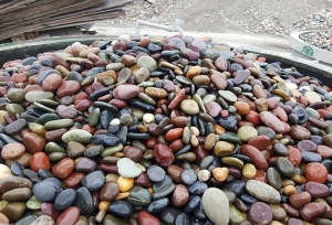 巴彦淖尔景观鹅卵石价格
