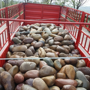 江苏50-80公分大鹅卵石